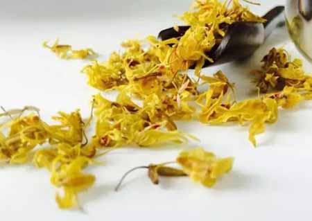 鐵皮石斛花有哪些功效好處？鐵皮石斛花泡水喝有哪些功效好處